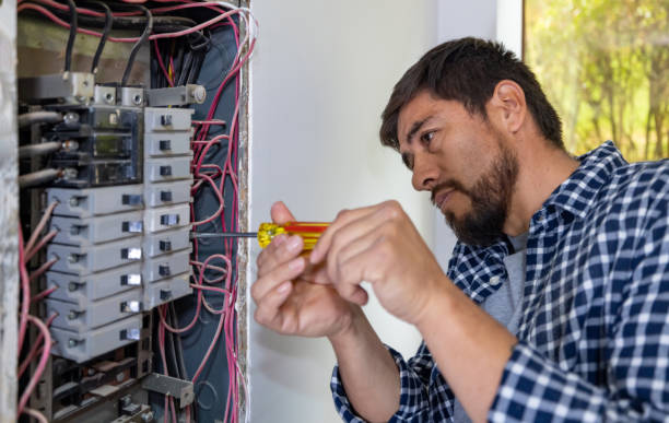 Best Generator Installation Services  in Fulton, NY
